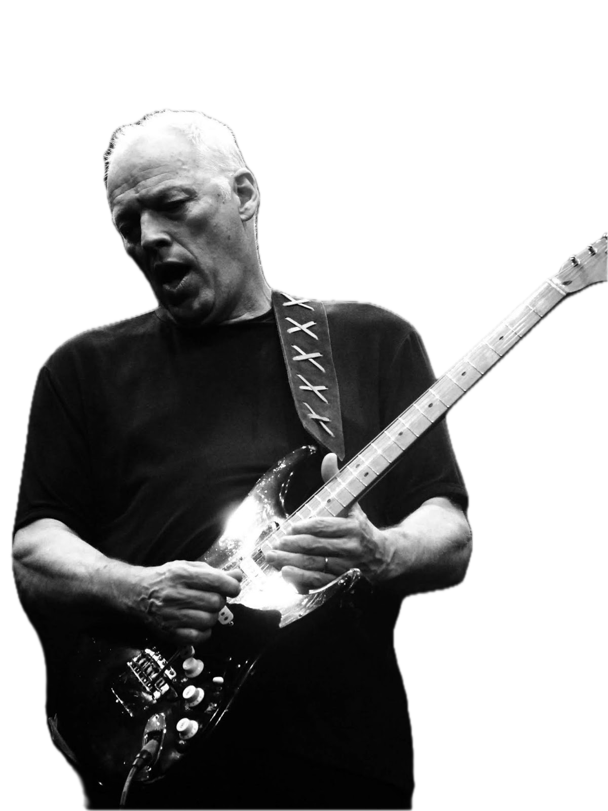 Fender Custom Shop David Gilmour Black Strat